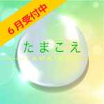 たまこえ あたたかく優しい世界からあなたが聞きたい質問の答えや魂の声をあなたの代わりに聞いてお伝えします 魂の声を聞くリーディングセッション略して たまこえ です